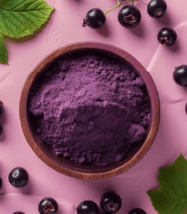 Blueberry Powder